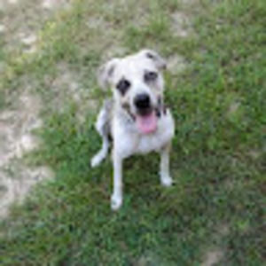 Meet your Posher, Sheri